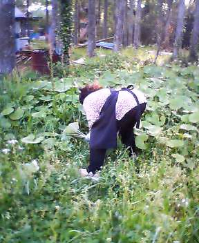 P505i0066322624.jpg P505i0066322624.jpg