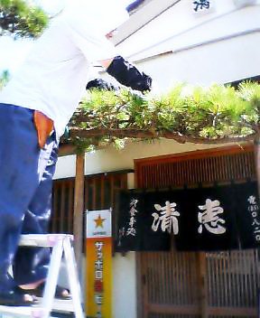 P505i0086048991.jpg P505i0086048991.jpg