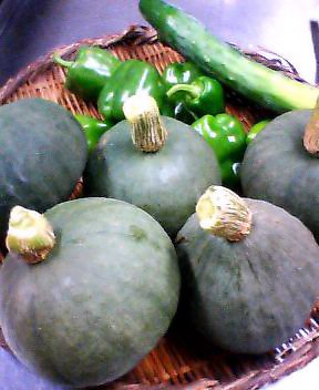 P505i0088277207.jpg P505i0088277207.jpg