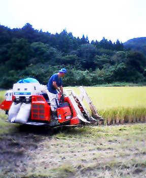 P505i0089063459.jpg P505i0089063459.jpg