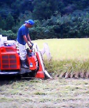 P505i0089784510.jpg P505i0089784510.jpg