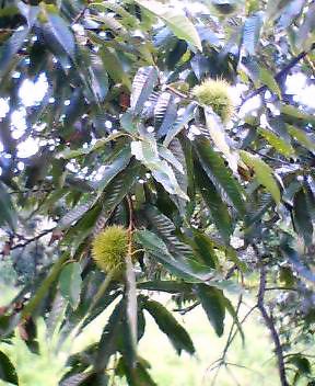 P505i0091422951.jpg P505i0091422951.jpg