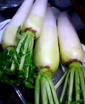 P505i0104726680.jpg P505i0104726680.jpg