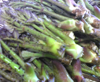 090409_104156.jpg 090409_104156.jpg