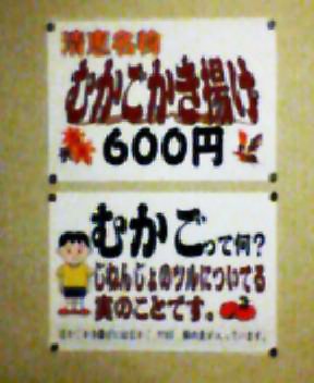 P505i0042336446.jpg P505i0042336446.jpg