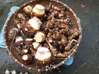 !cid_01@091014.140214@_____F08A3@docomo.ne[1]