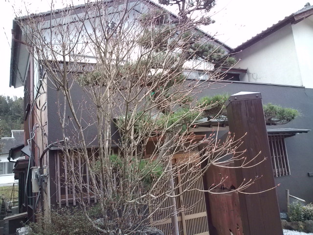 20100304104942.jpg