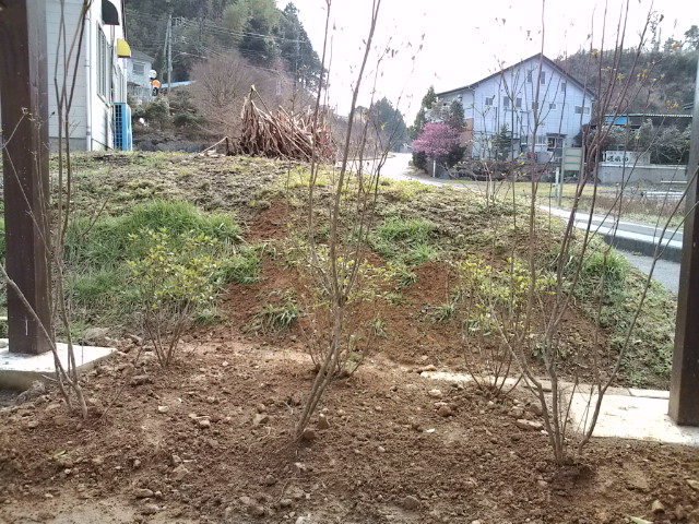 20100303141010.jpg